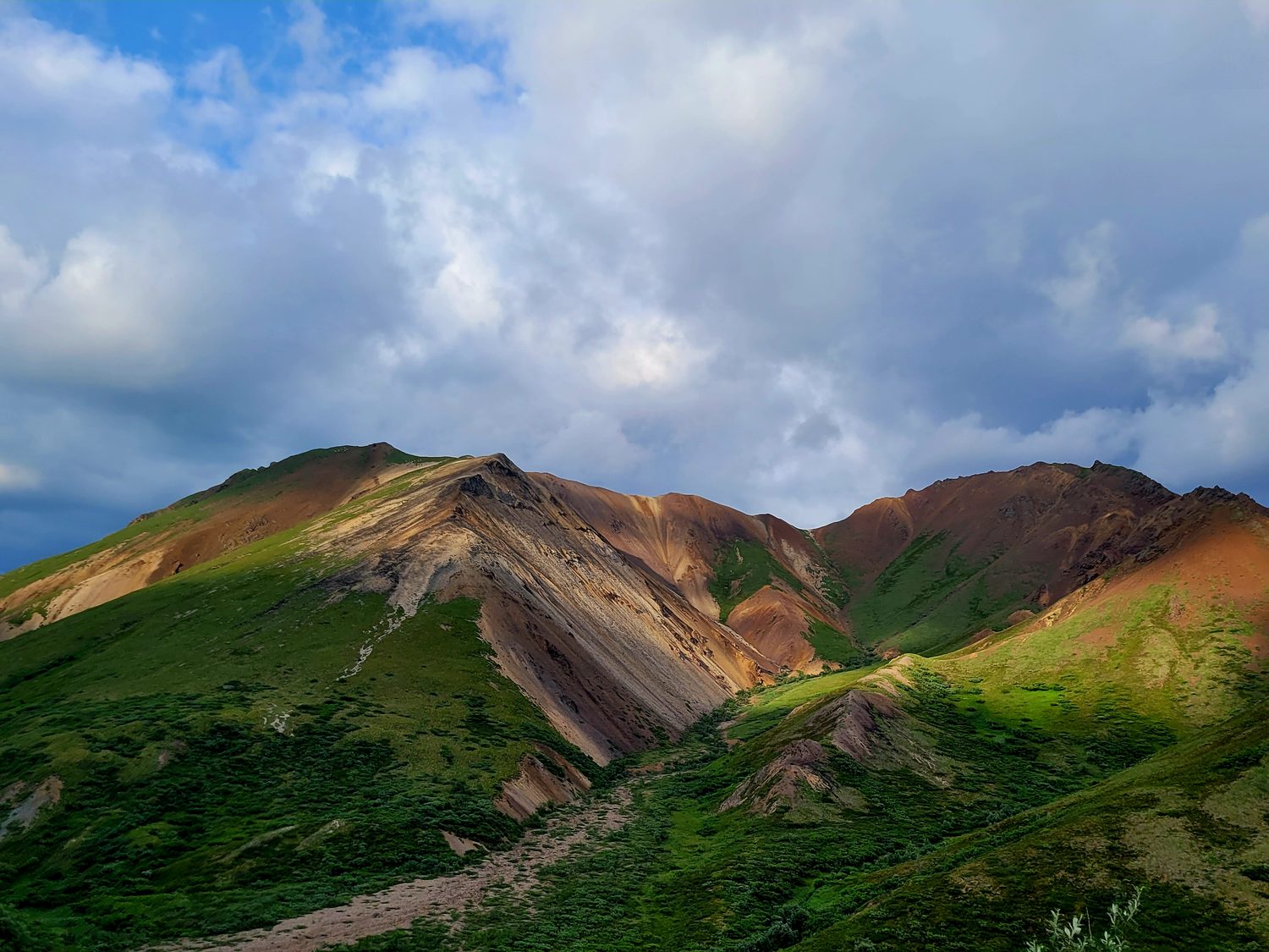 Ridgeline — Litt Visual