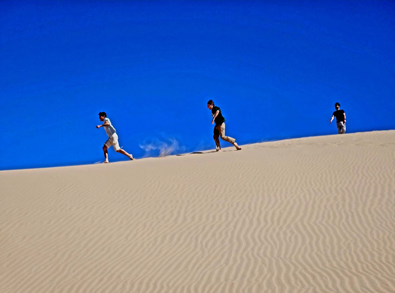 Crossing the Dunes — Litt Visual